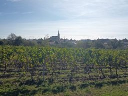 2026-09-20 - haute-goulaine (04)
